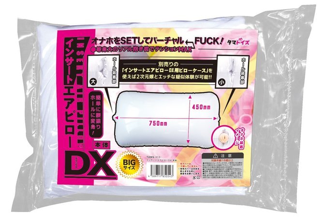 Insert Air Pillow DX Cover 165 Big Tits Big Eyes Schoolgirl インサートエアピローDX用ピローケース#165 龍牙翔