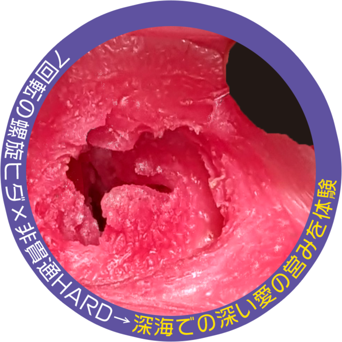 Shark Spiral Squeezing Hard 鮫の螺旋 搾り取るHARD