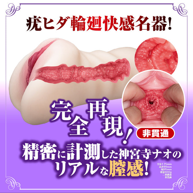 Nao Jinguji Complete Replica of a Mature Pussy and Anus 新 熟女の星 神宮寺ナオ