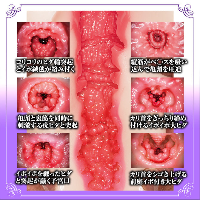 Nao Jinguji Complete Replica of a Mature Pussy and Anus 新 熟女の星 神宮寺ナオ